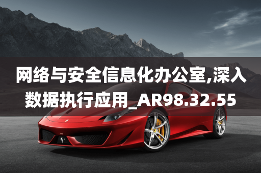 网络与安全信息化办公室,深入数据执行应用_AR98.32.55