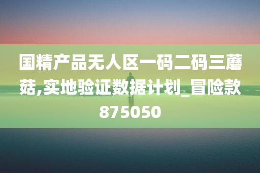 国精产品无人区一码二码三蘑菇,实地验证数据计划_冒险款875050