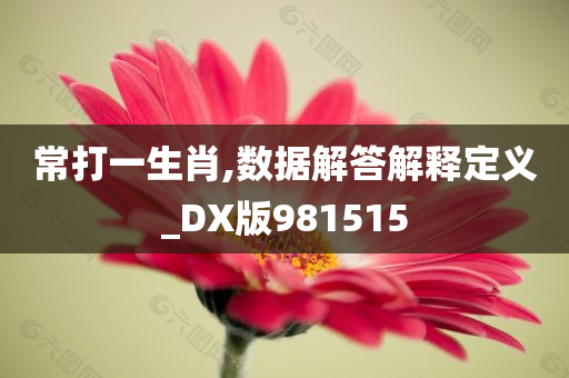 常打一生肖,数据解答解释定义_DX版981515