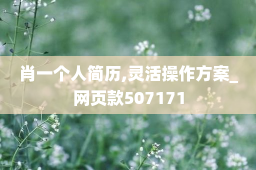 肖一个人简历,灵活操作方案_网页款507171