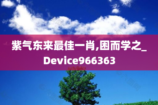 紫气东来最佳一肖,困而学之_Device966363