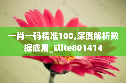 一肖一码精准100,深度解析数据应用_Elite801414