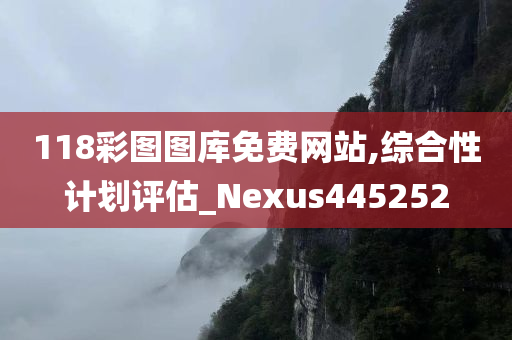 118彩图图库免费网站,综合性计划评估_Nexus445252