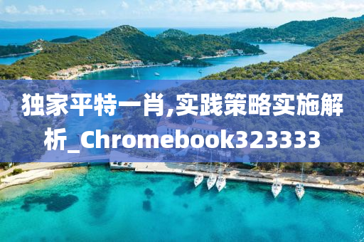 独家平特一肖,实践策略实施解析_Chromebook323333