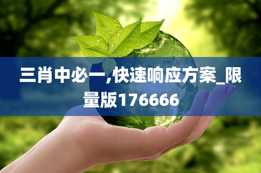 三肖中必一,快速响应方案_限量版176666