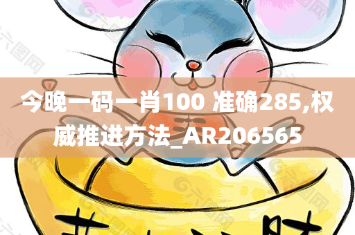 今晚一码一肖100 准确285,权威推进方法_AR206565