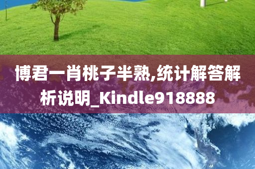 博君一肖桃子半熟,统计解答解析说明_Kindle918888