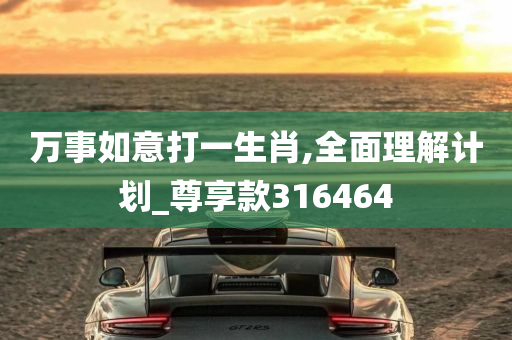 万事如意打一生肖,全面理解计划_尊享款316464