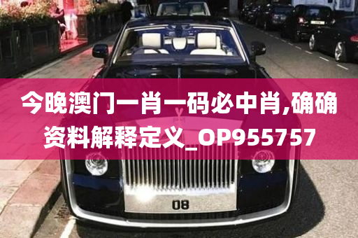 今晚澳门一肖一码必中肖,确确资料解释定义_OP955757