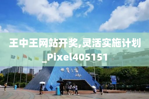 王中王网站开奖,灵活实施计划_Pixel405151