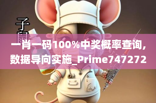 一肖一码100%中奖概率查询,数据导向实施_Prime747272