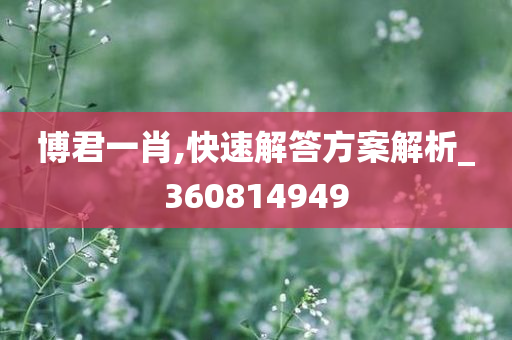 博君一肖,快速解答方案解析_360814949