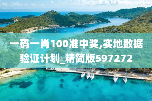 一码一肖100准中奖,实地数据验证计划_精简版597272