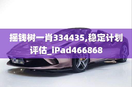 摇钱树一肖334435,稳定计划评估_iPad466868