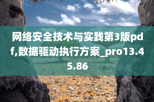 网络安全技术与实践第3版pdf,数据驱动执行方案_pro13.45.86