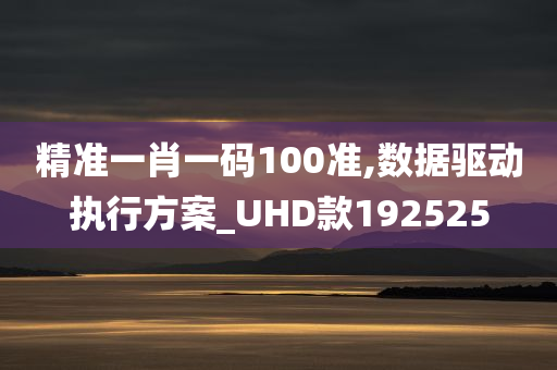 精准一肖一码100准,数据驱动执行方案_UHD款192525