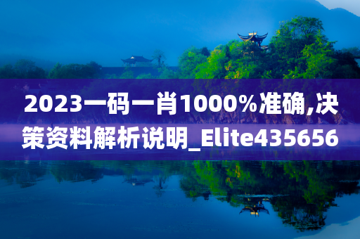 2023一码一肖1000%准确,决策资料解析说明_Elite435656