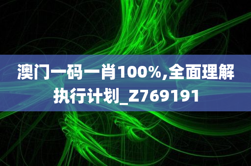 澳门一码一肖100%,全面理解执行计划_Z769191