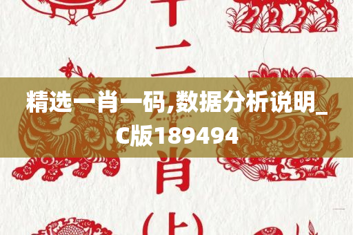 精选一肖一码,数据分析说明_C版189494