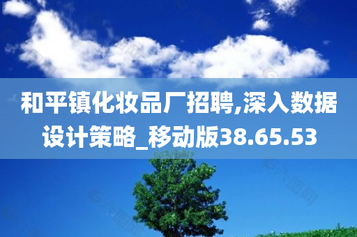 和平镇化妆品厂招聘,深入数据设计策略_移动版38.65.53