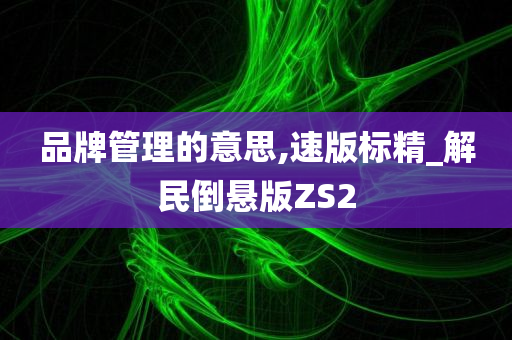 品牌管理的意思,速版标精_解民倒悬版ZS2