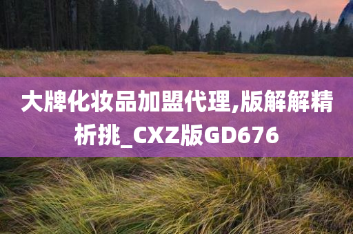 大牌化妆品加盟代理,版解解精析挑_CXZ版GD676