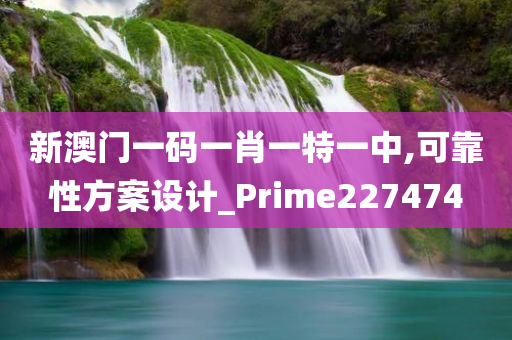 新澳门一码一肖一特一中,可靠性方案设计_Prime227474