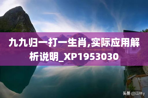 九九归一打一生肖,实际应用解析说明_XP1953030