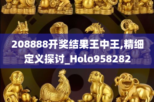 208888开奖结果王中王,精细定义探讨_Holo958282