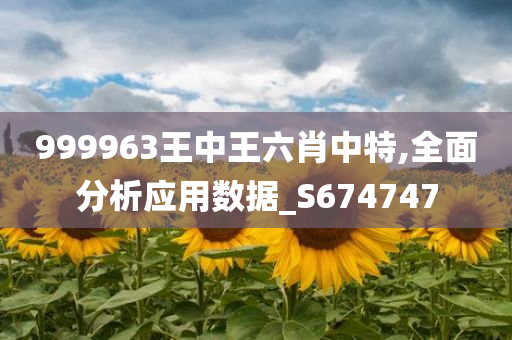 999963王中王六肖中特,全面分析应用数据_S674747