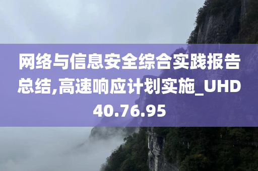 网络与信息安全综合实践报告总结,高速响应计划实施_UHD40.76.95