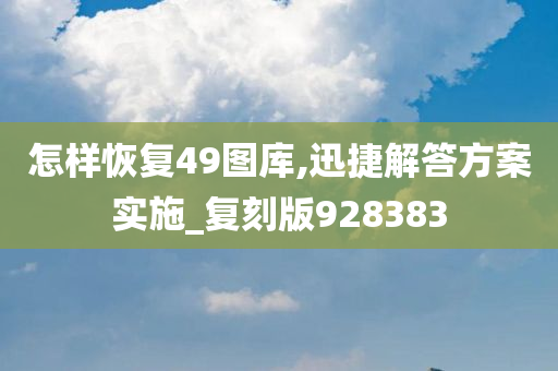 怎样恢复49图库,迅捷解答方案实施_复刻版928383