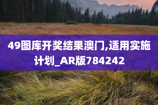 49图库开奖结果澳门,适用实施计划_AR版784242