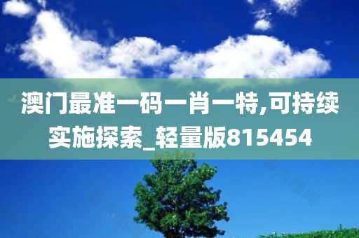 澳门最准一码一肖一特,可持续实施探索_轻量版815454