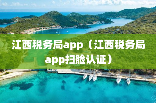 江西税务局app（江西税务局app扫脸认证）