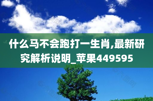 什么马不会跑打一生肖,最新研究解析说明_苹果449595