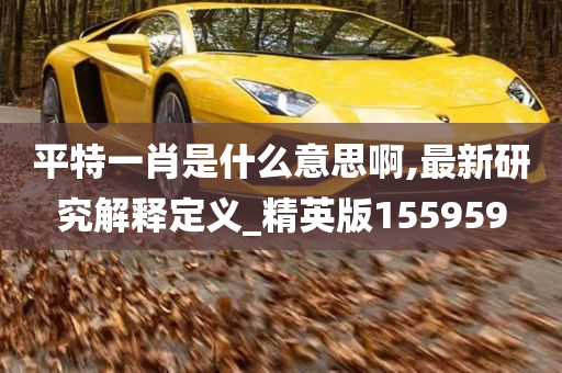 平特一肖是什么意思啊,最新研究解释定义_精英版155959