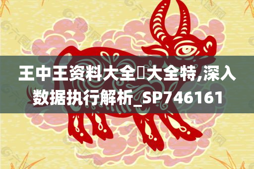 王中王资料大全枓大全特,深入数据执行解析_SP746161