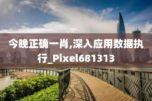 今晚正确一肖,深入应用数据执行_Pixel681313