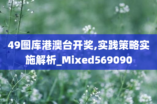 49图库港澳台开奖,实践策略实施解析_Mixed569090