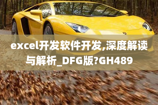 excel开发软件开发,深度解读与解析_DFG版?GH489