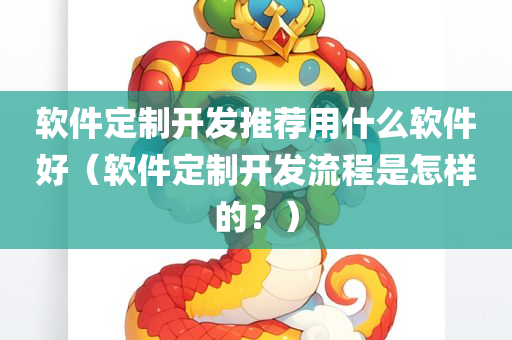 软件定制开发推荐用什么软件好（软件定制开发流程是怎样的？）