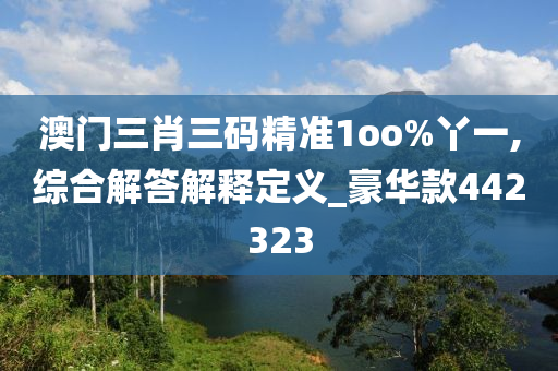 澳门三肖三码精准1oo%丫一,综合解答解释定义_豪华款442323