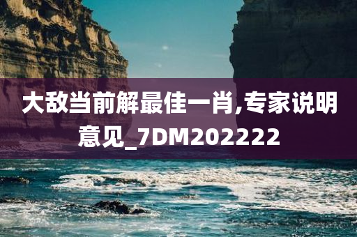 大敌当前解最佳一肖,专家说明意见_7DM202222