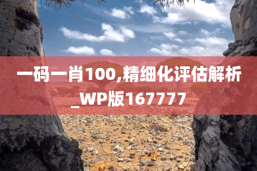 一码一肖100,精细化评估解析_WP版167777