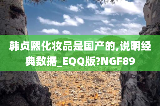 韩贞熙化妆品是国产的,说明经典数据_EQQ版?NGF89