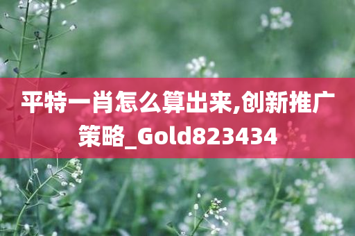 平特一肖怎么算出来,创新推广策略_Gold823434