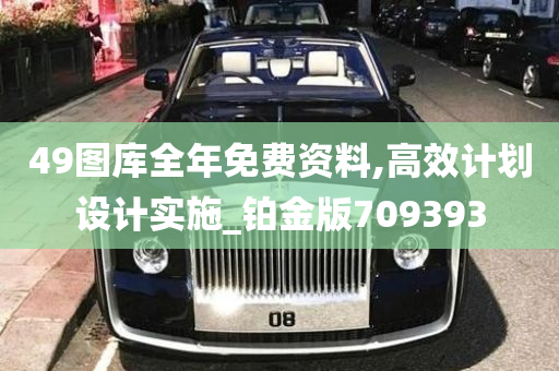 49图库全年免费资料,高效计划设计实施_铂金版709393