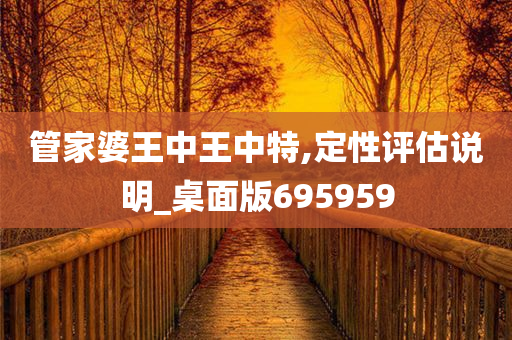 管家婆王中王中特,定性评估说明_桌面版695959