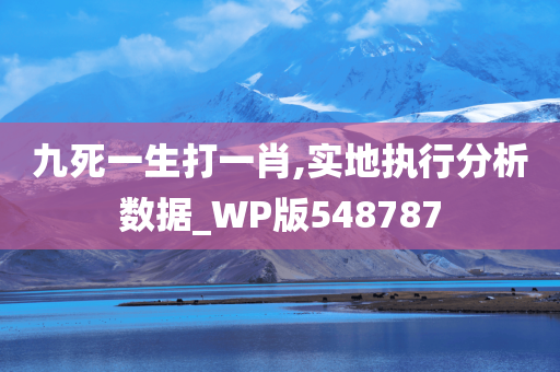 九死一生打一肖,实地执行分析数据_WP版548787